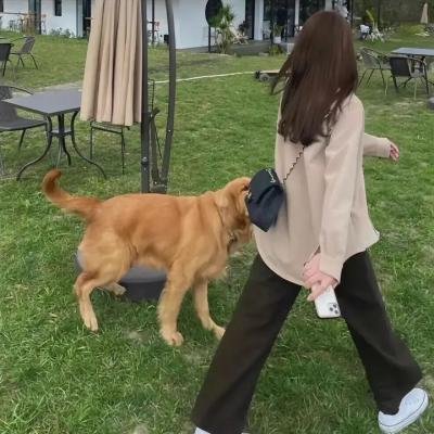 我杀了拿破仑