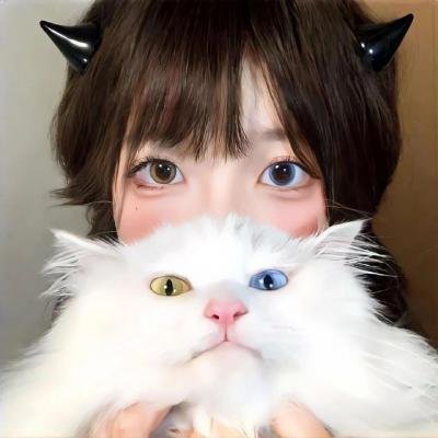 空中致胜